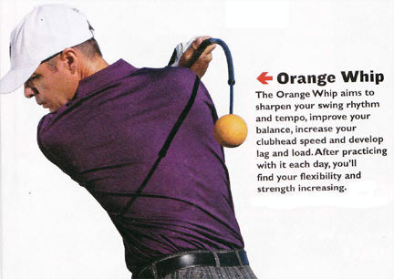 Orange Whip Trainer