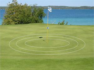 eGolf Rings